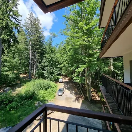 Z Pieknym Widokiem Na *