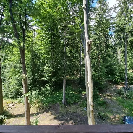 Z Pieknym Widokiem Na * Szklarska Poręba