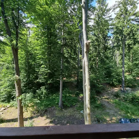 Z Pieknym Widokiem Na Apartamento
