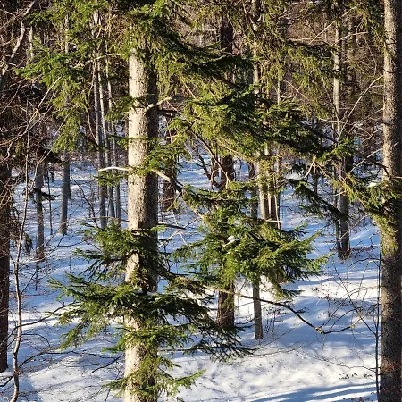 Z Pieknym Widokiem Na Appartement *