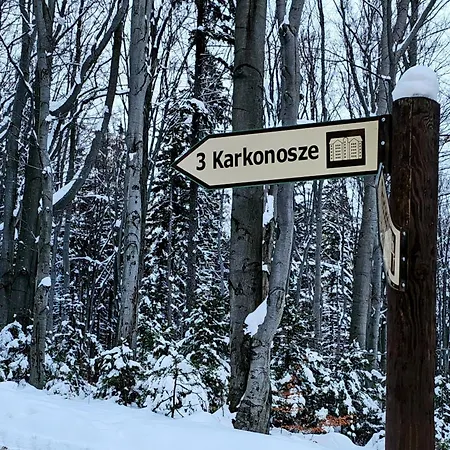 Z Pieknym Widokiem Na Appartement Szklarska Poręba