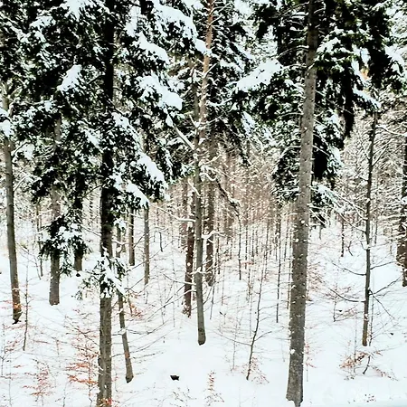 Z Pieknym Widokiem Na Szklarska Poręba