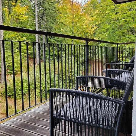 Z Pieknym Widokiem Na شكلارسكا بوريبا