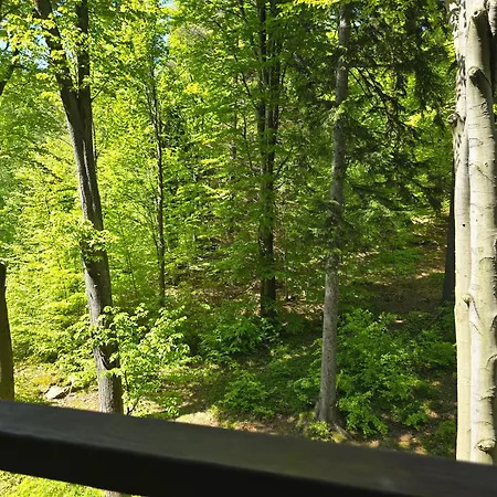 Appartement Z Pieknym Widokiem Na