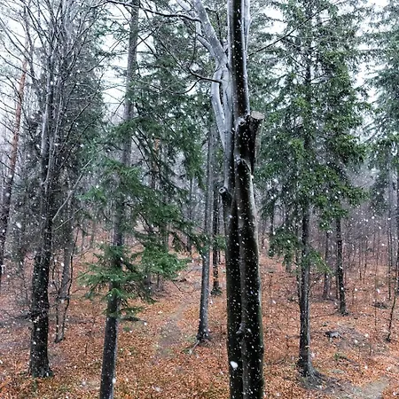 شقة Z Pieknym Widokiem Na