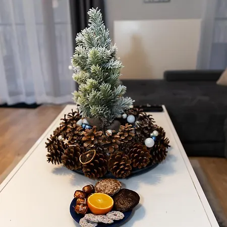 شقة Z Pieknym Widokiem Na