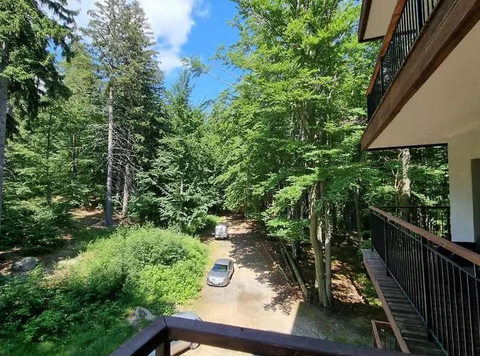 Z Pieknym Widokiem Na *