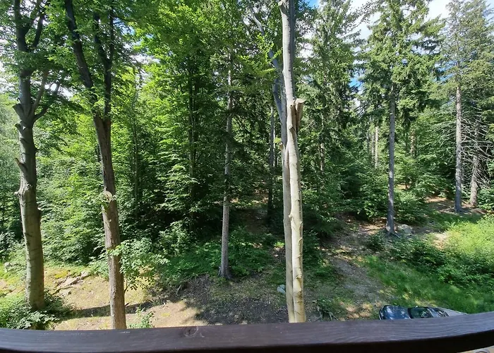 Z Pieknym Widokiem Na 아파트