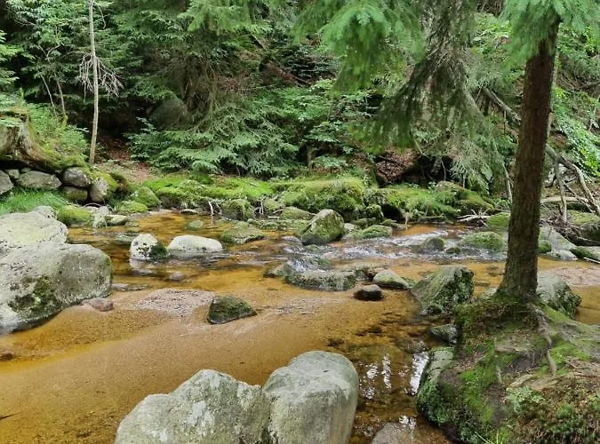 Appartement Z Pieknym Widokiem Na
