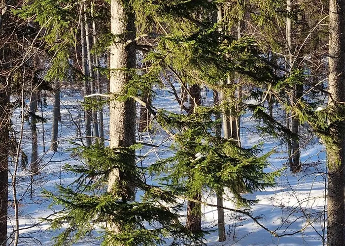 Z Pieknym Widokiem Na Appartement *