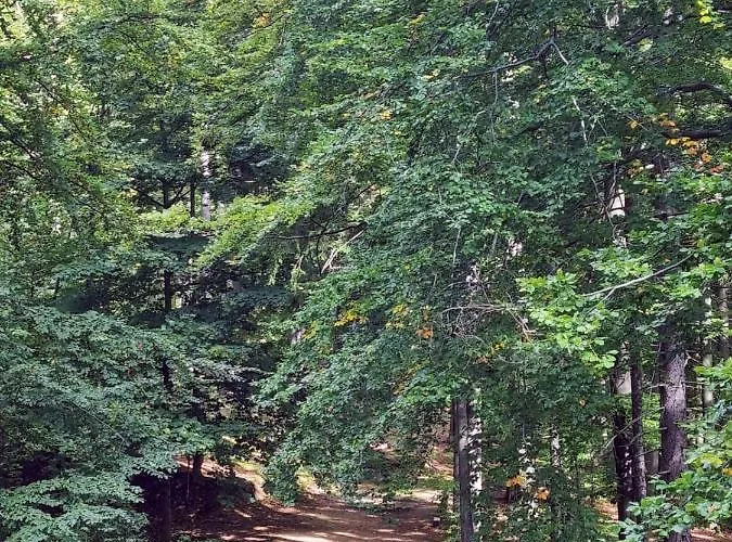 Appartement Z Pieknym Widokiem Na