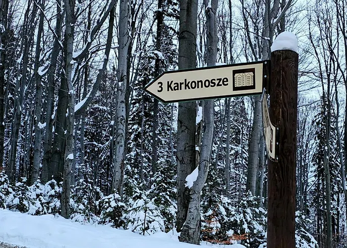 Z Pieknym Widokiem Na Appartement Szklarska Poreba