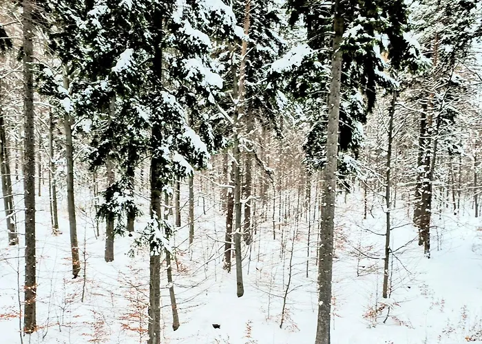 Z Pieknym Widokiem Na Szklarska Poreba