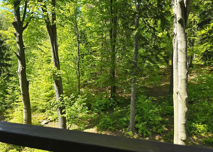 Appartement Z Pieknym Widokiem Na