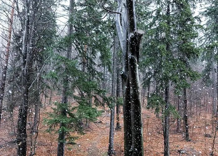 Appartement Z Pieknym Widokiem Na